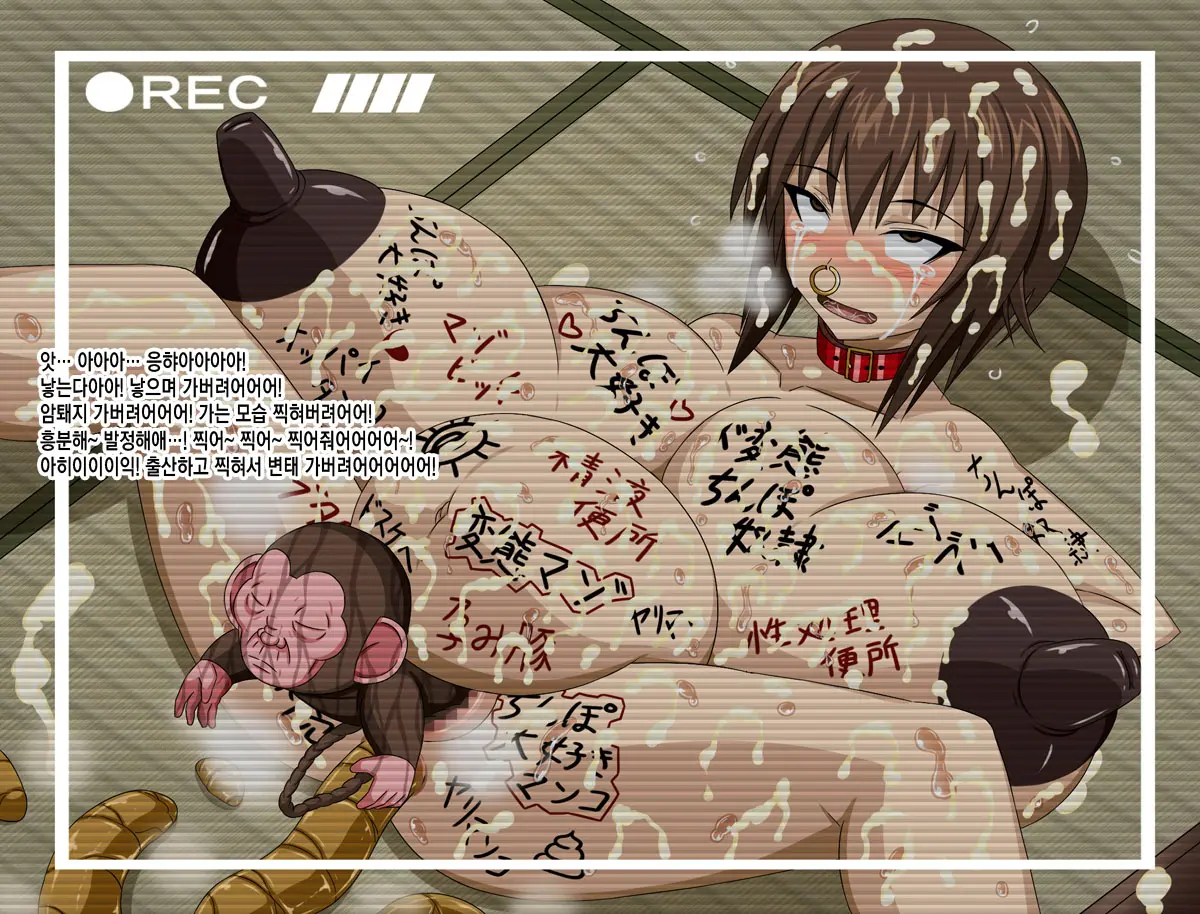 Super Hentai CG Shuu 15 Saru Ni Kawareru Mesu Dorei